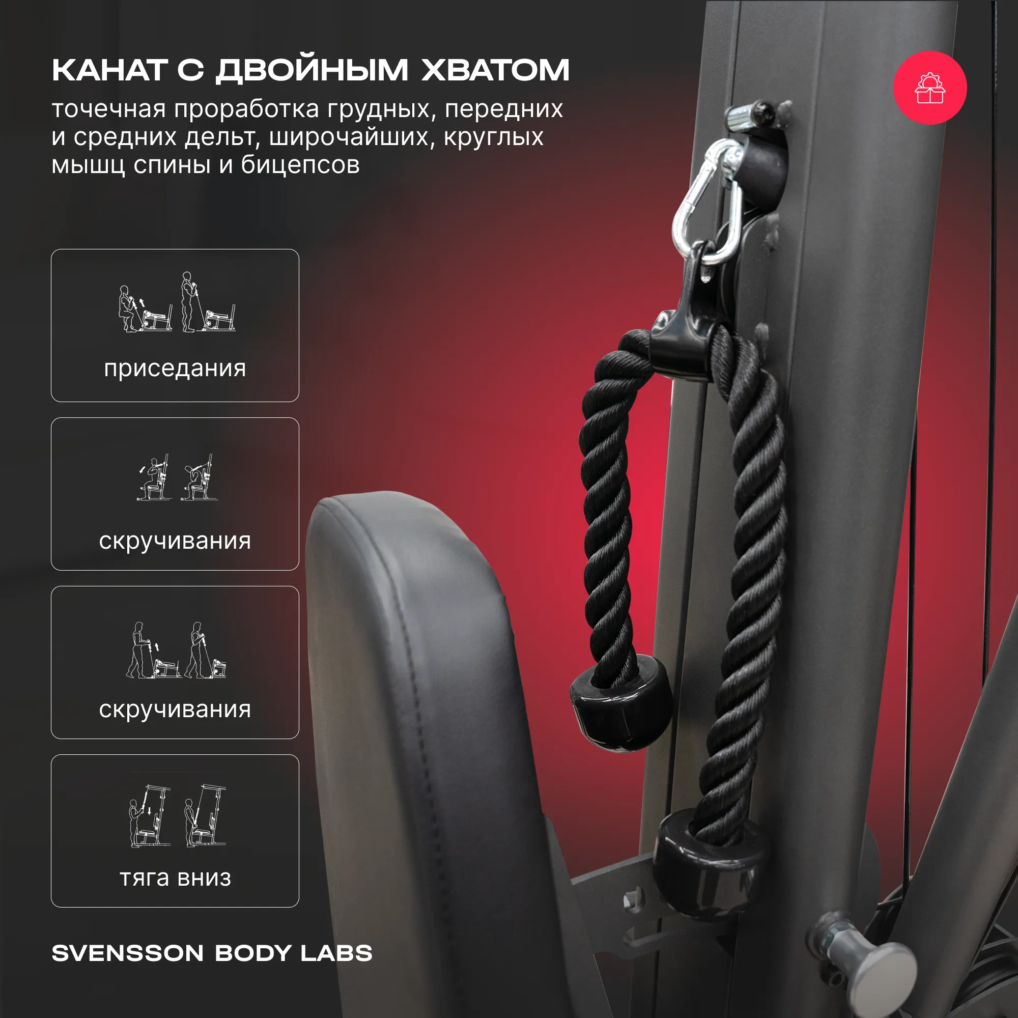 Силовой комплекс SVENSSON BODY LABS RIGEL PRO