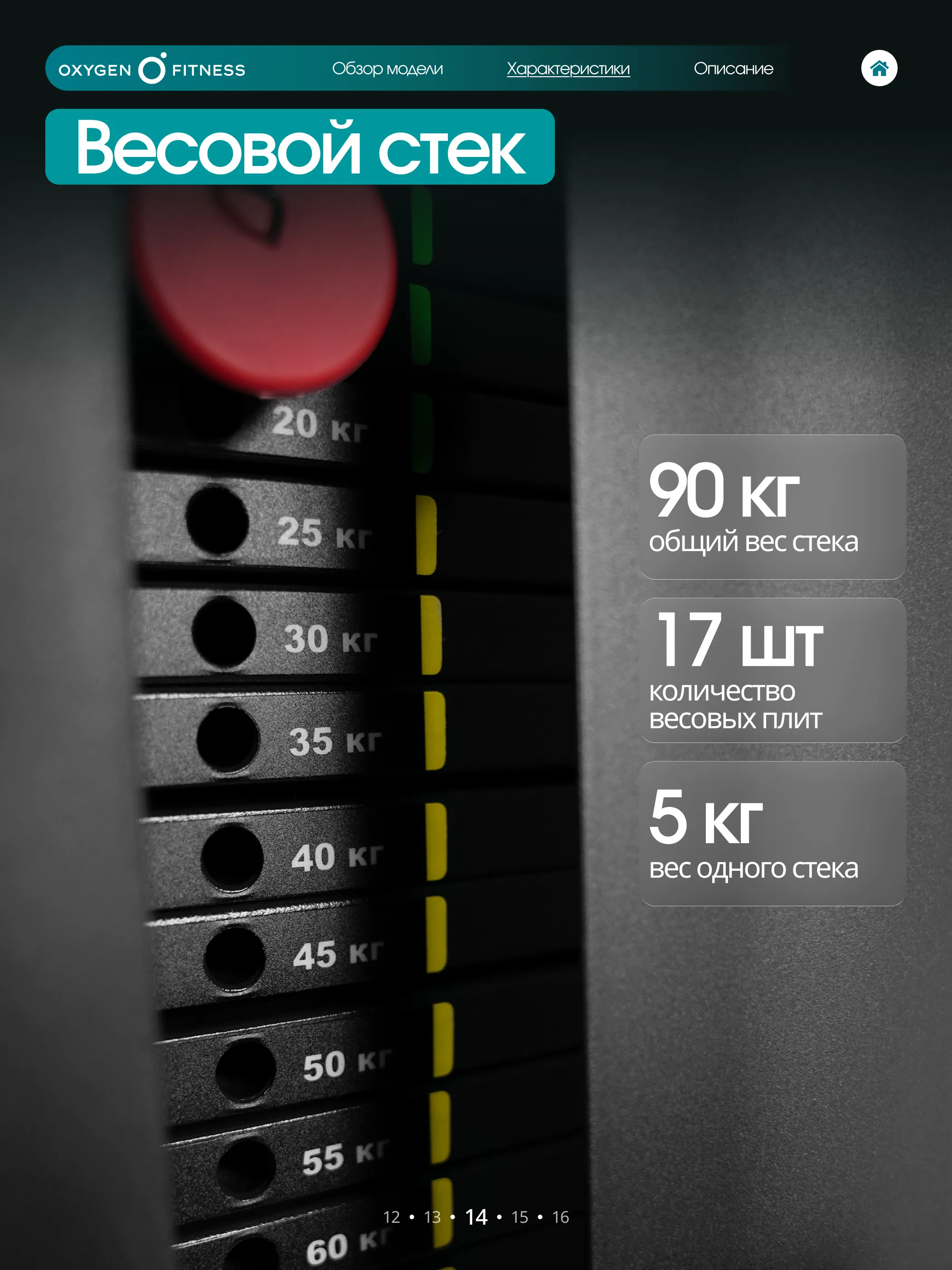 Силовой комплекс OXYGEN FITNESS IRON PRO