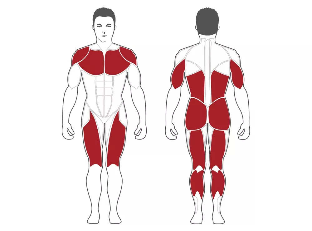 Steel Flex M3DSM Машина Смита 3D