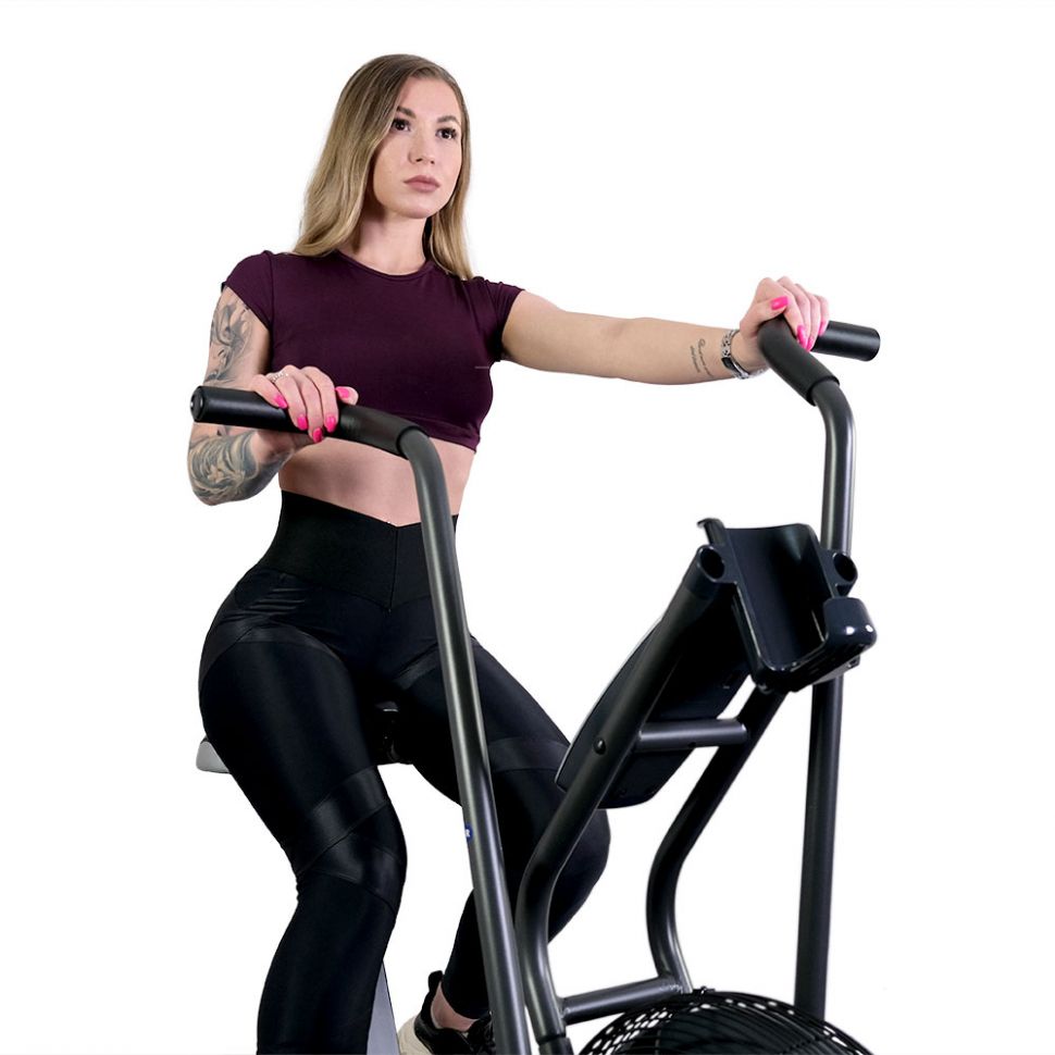 Велотренажер Schwinn Airdyne AD6 Bike