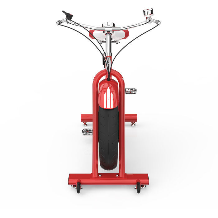 Велотренажер Schwinn Classic Cruiser (100777)