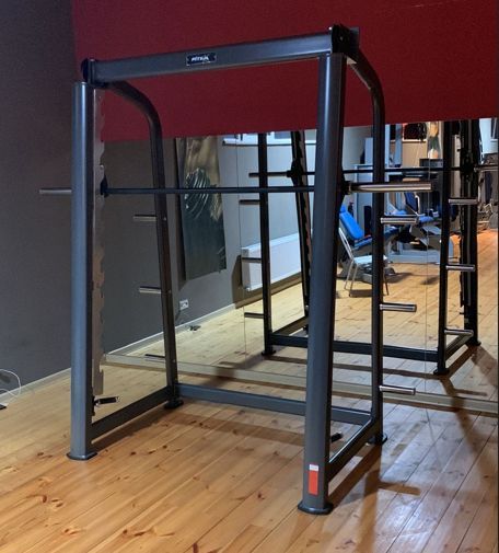Машина Смита Fitex Pro FTX-61A33