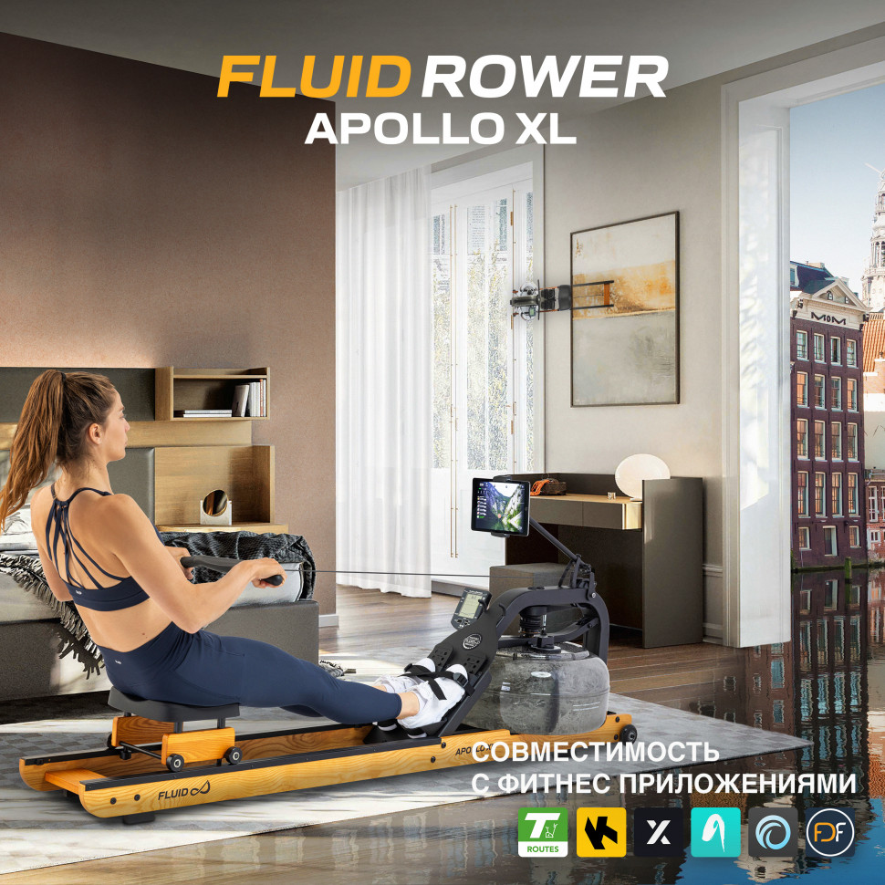 Гребной тренажер First Degree Fitness Apollo XL