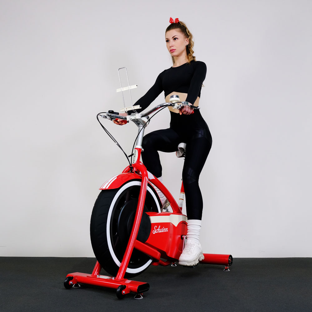 Велотренажер Schwinn Classic Cruiser (100777)