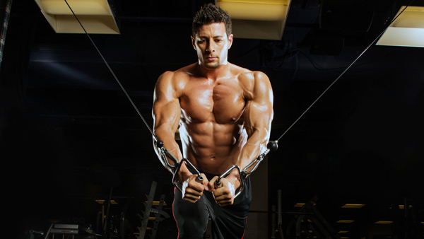 Кроссовер регулируемый Kraft Fitness KFCPCY линии Twin 