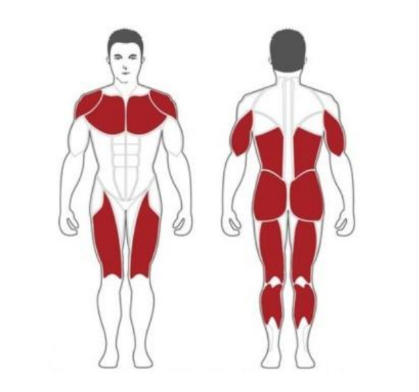 Steel Flex M3DLM Машина Смита 3D