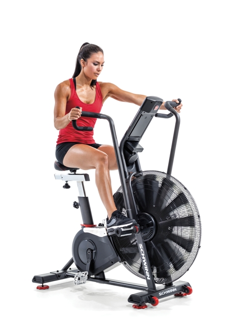 Велотренажер Schwinn Airdyne AD8