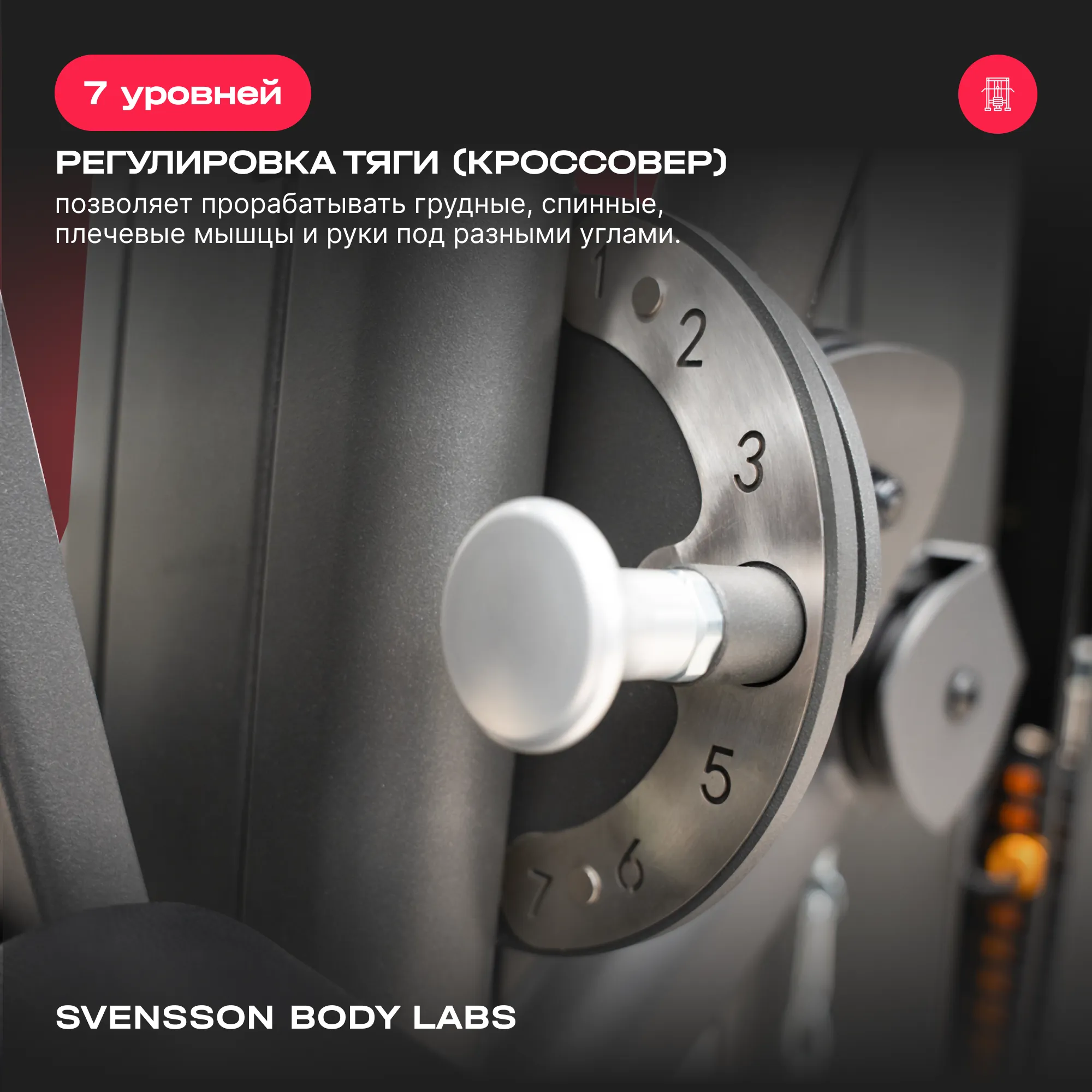 Силовой комплекс SVENSSON BODY LABS RIGEL PRO
