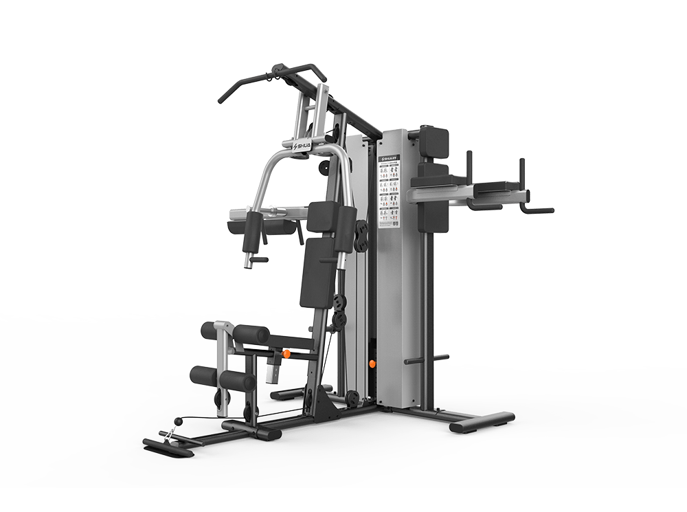 Мультистанция SHUA SH-G5203