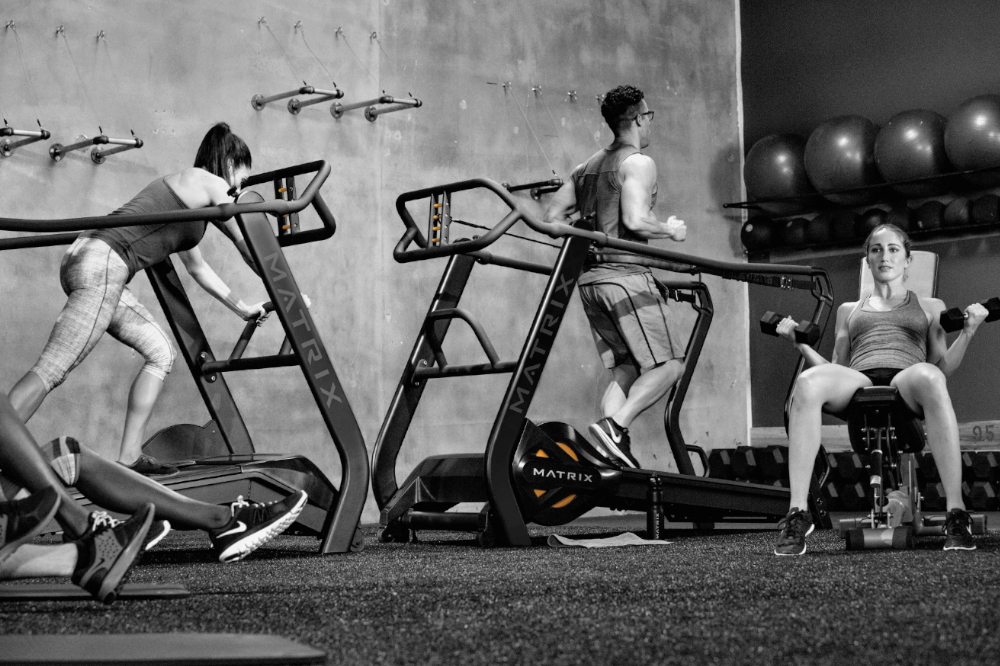 performance_trainer3.jpg