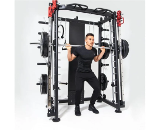 Мультистанция, машина Смита DFC Gorilla Sport 100822