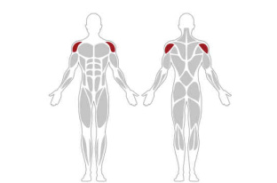 Силовой тренажер Intenza EASE "Жим от плеч" EL-04