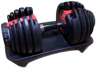 Гантель регулируемая Aerofit AFGRB-24KG, вес от 2,5 кг до 24 кг