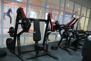 Жим от груди под наклоном с независимыми рычагами AeroFit Sterling SL7005