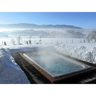 СПА бассейн USSPA Swim Spa М Gypsum termowood