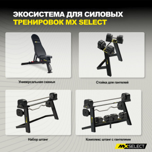 Держатель для гантелей MX55 EVO и MX100 EVO на стойку для штанг MX125